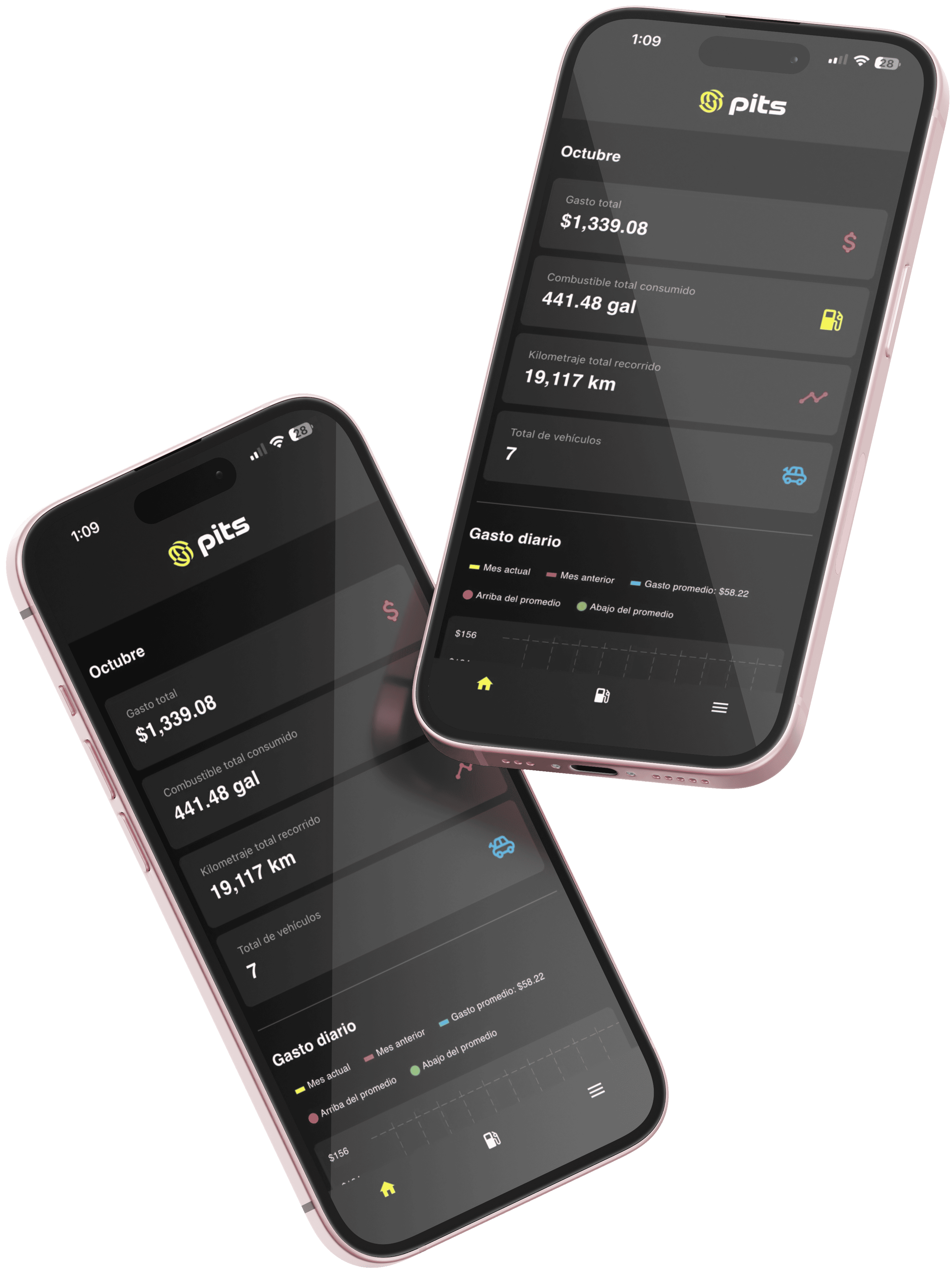 Plataforma PITS en móvil